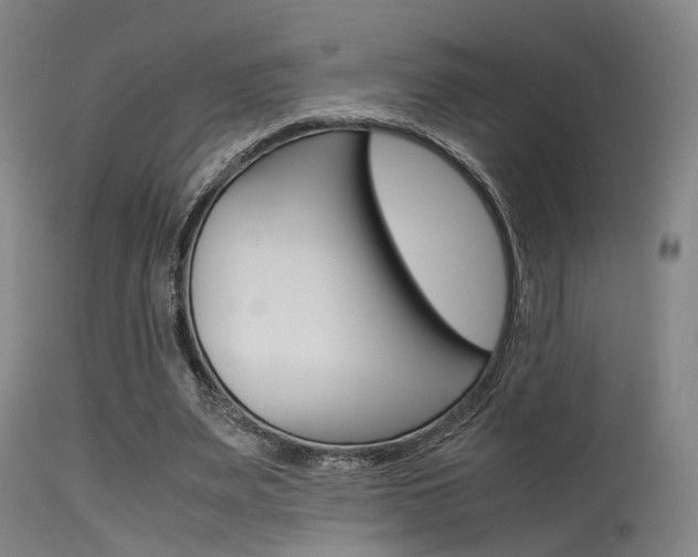 X0000115620487200911101059