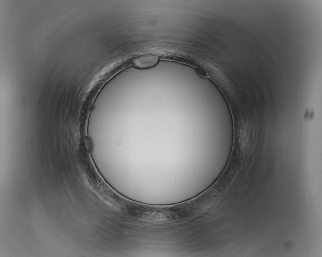 X0000115620488200911101059