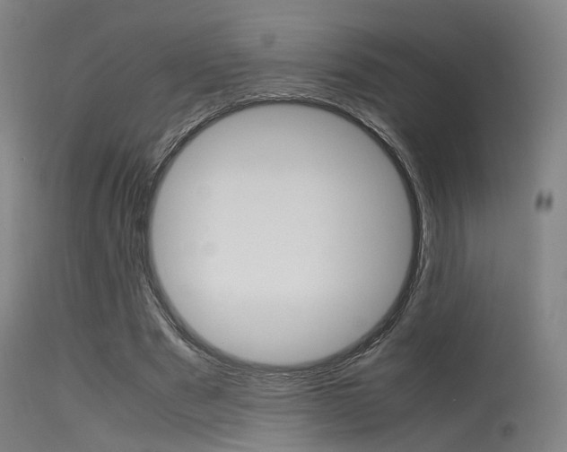 X0000115620489200911101059