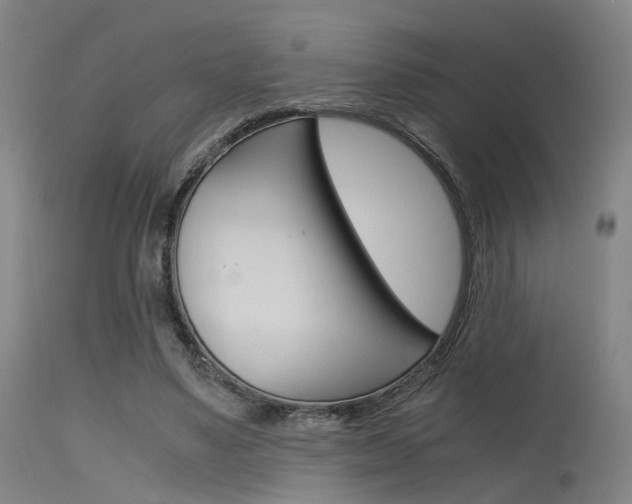 X0000115620491200911101059