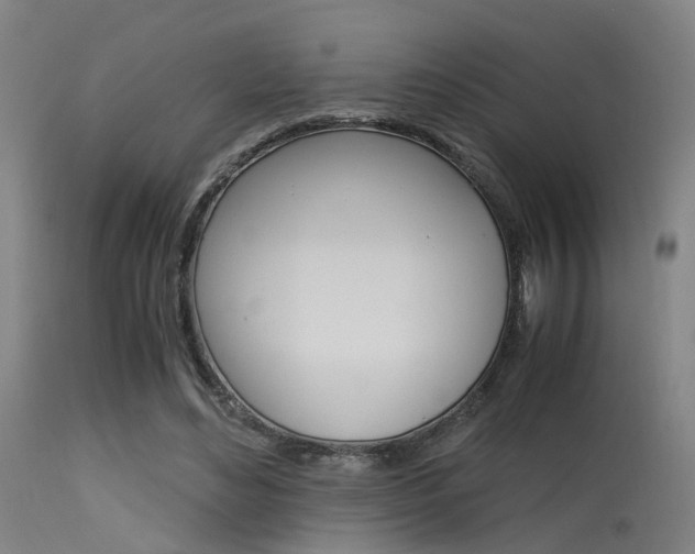 X0000115620492200911101059