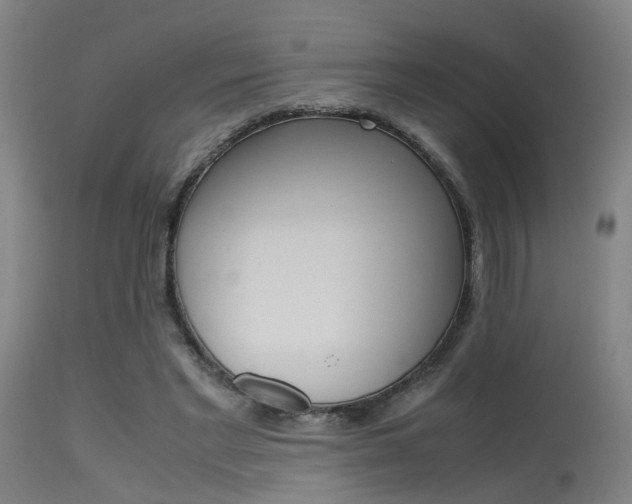 X0000115620493200911101059