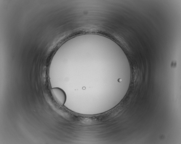 X0000115620494200911101059