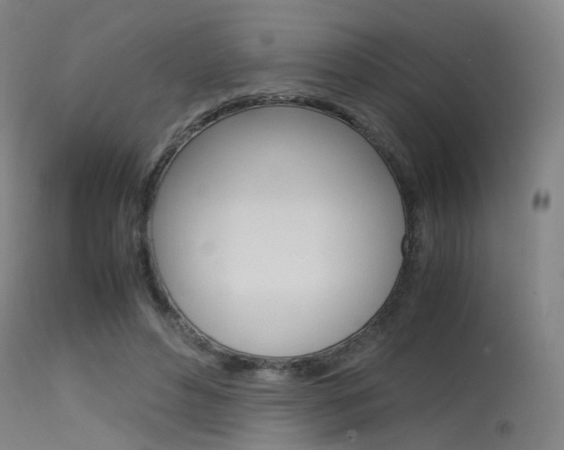 X0000115620496200911101059