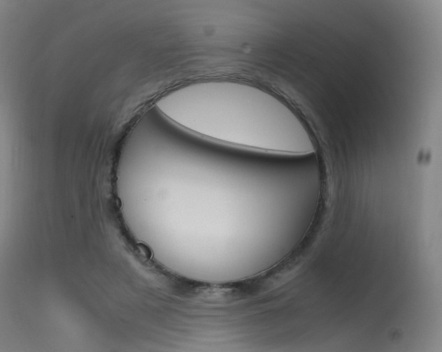 X0000115620497200911101059