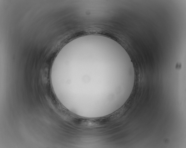 X0000115620498200911101059