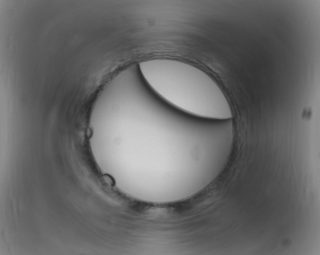 X0000115620499200911101059