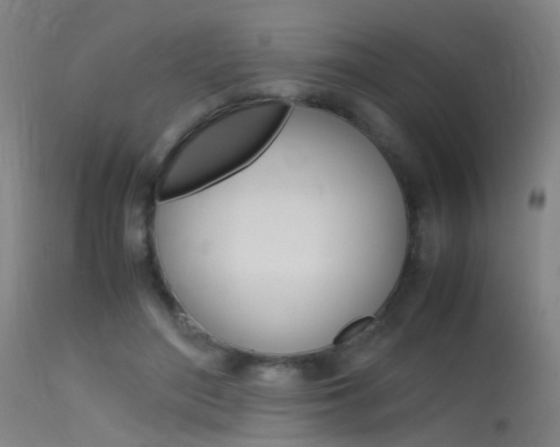 X0000115620500200911101059