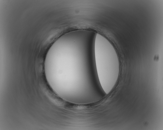 X0000115620501200911101059