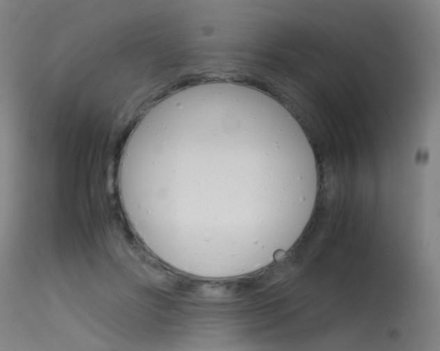 X0000115620502200911101059