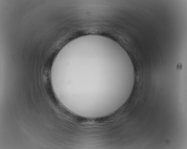 X0000115620503200911101059