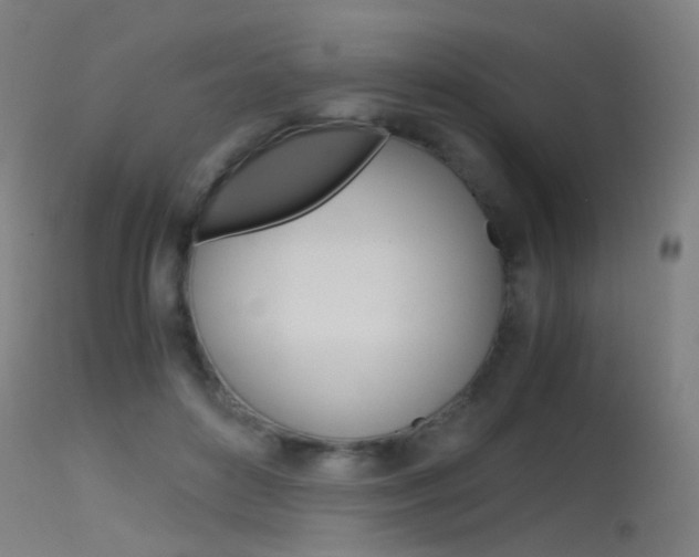 X0000115620504200911101059