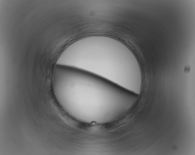 X0000115620505200911101059