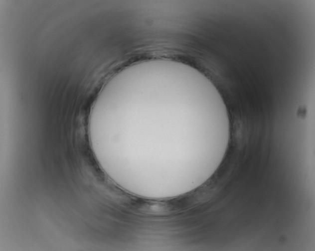 X0000115620506200911101059