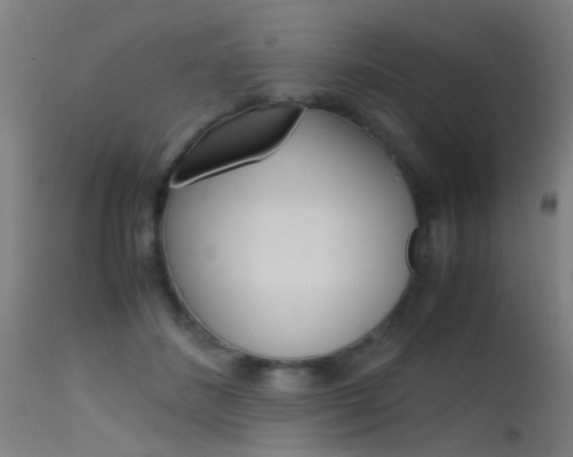 X0000115620508200911101059