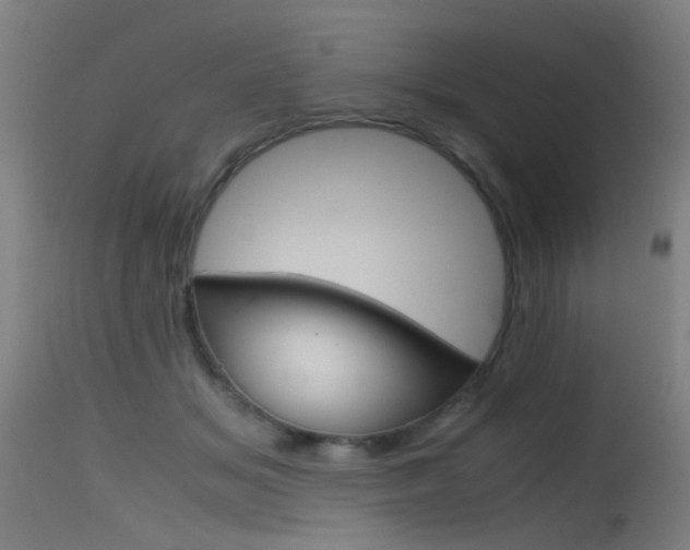 X0000115620509200911101059