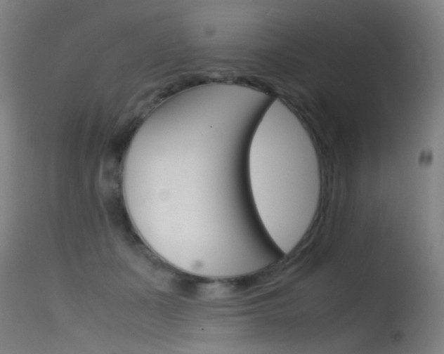 X0000115620511200911101059