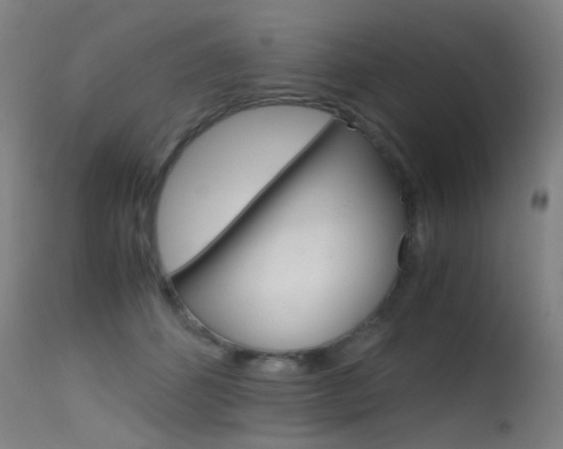 X0000115620512200911101059