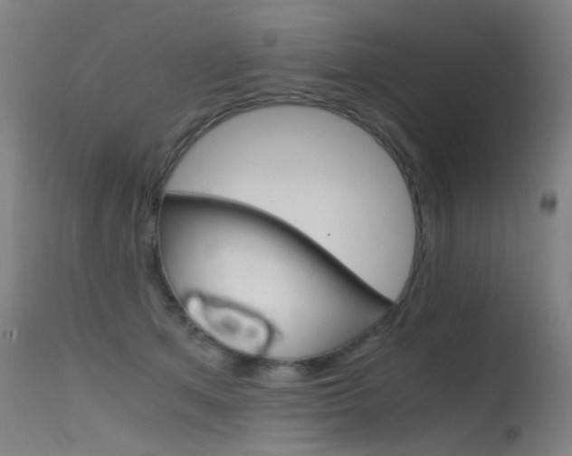 X0000115620513200911101059