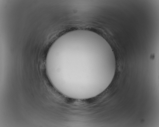 X0000115620515200911101059