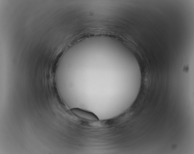 X0000115620516200911101059