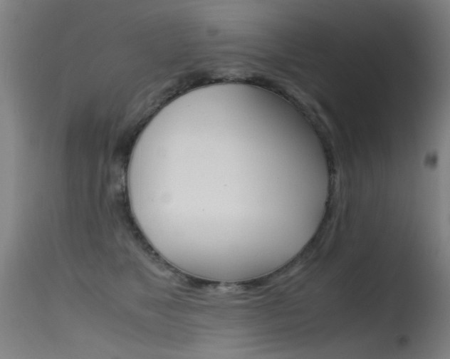 X0000115620517200911101059