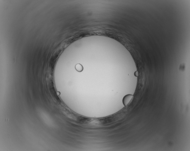 X0000115620518200911101059