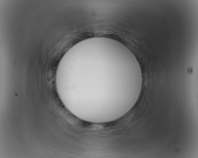 X0000115620519200911101059