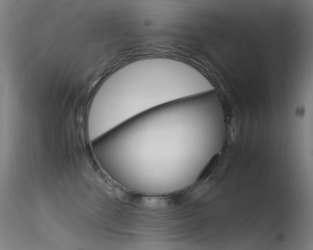 X0000115620520200911101059