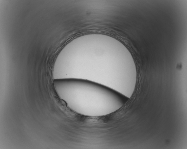 X0000115620521200911101059