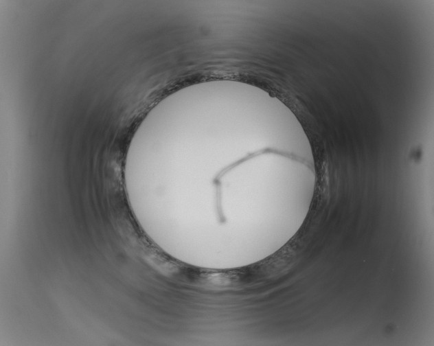 X0000115620522200911101059