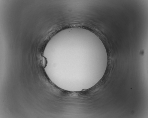 X0000115620523200911101059