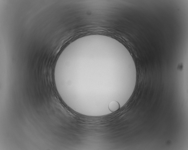 X0000115620524200911101059