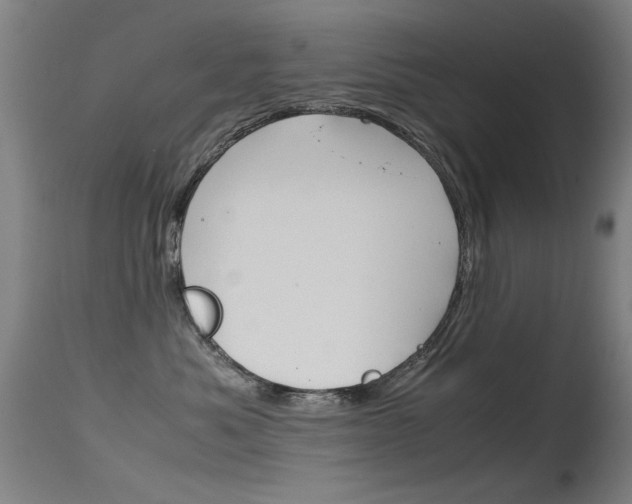 X0000115620525200911101059