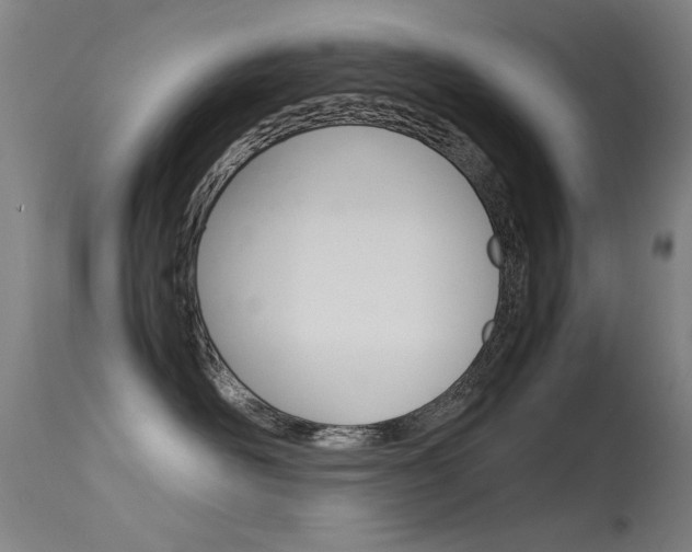 X0000115620526200911101059