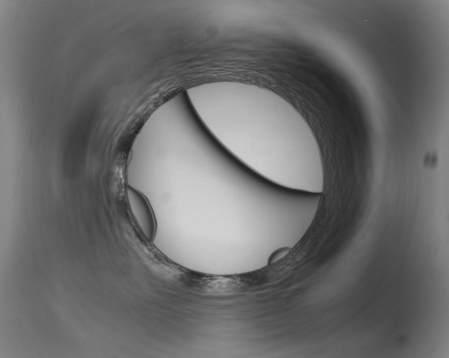 X0000115620527200911101059