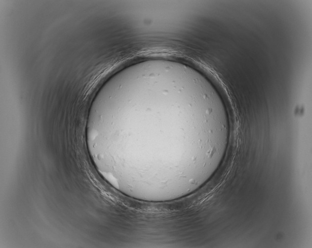 X0000115620529200911101058