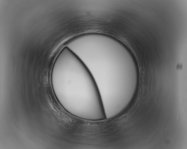X0000115620531200911101058