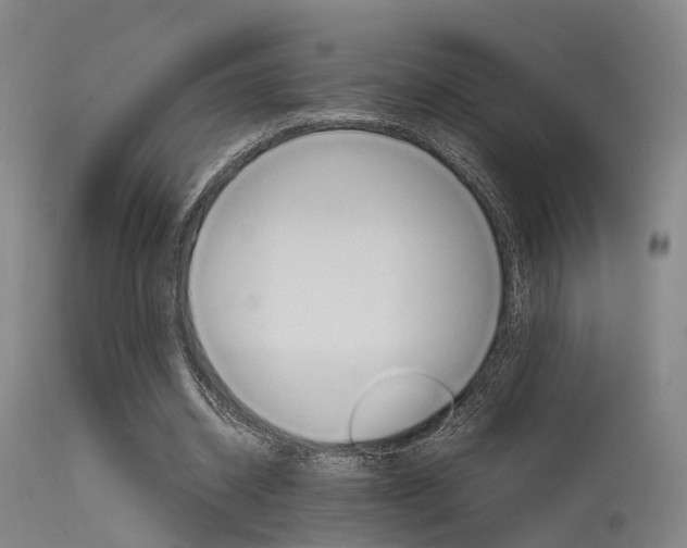 X0000115620534200911101058