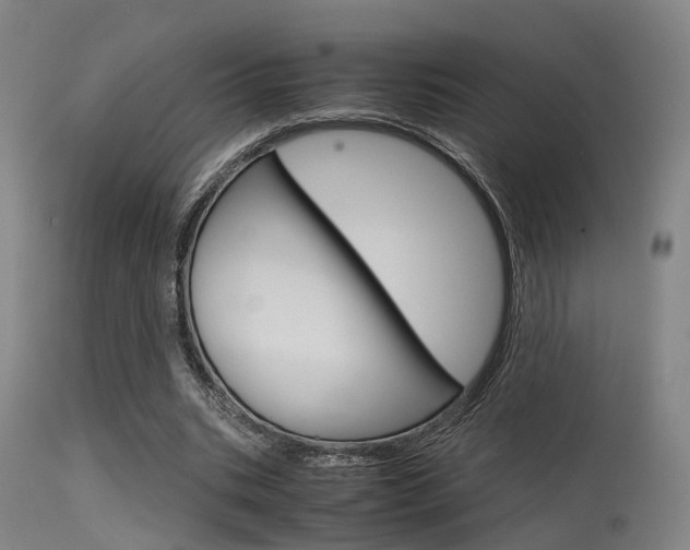 X0000115620535200911101058