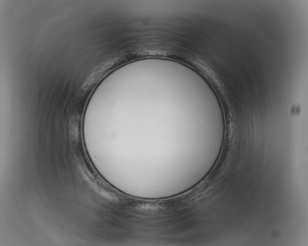 X0000115620537200911101058