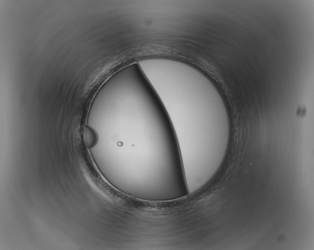 X0000115620538200911101058