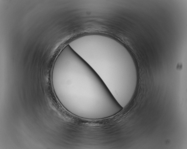 X0000115620539200911101058