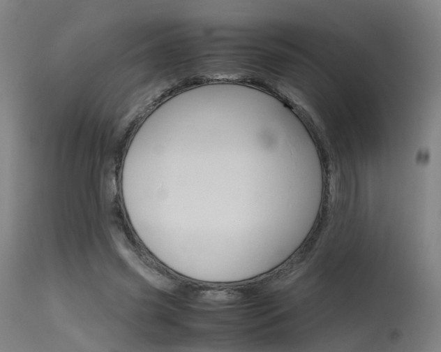 X0000115620541200911101058