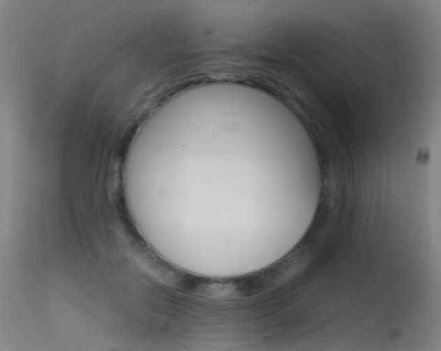 X0000115620554200911101058