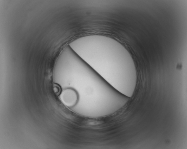 X0000115620555200911101058