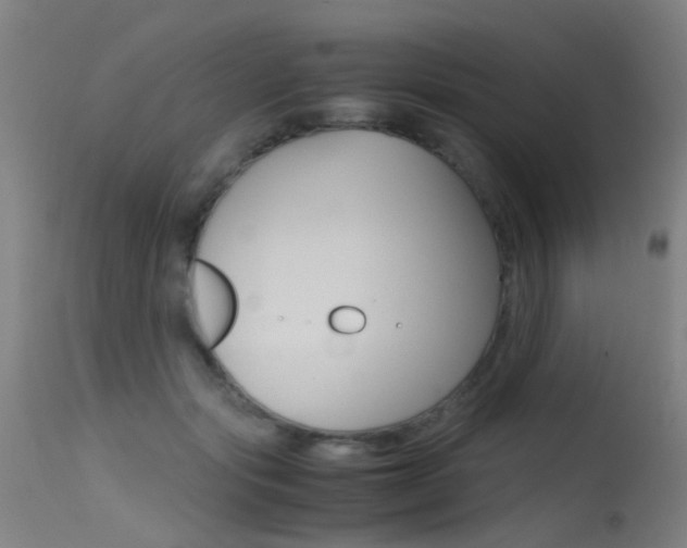 X0000115620557200911101058