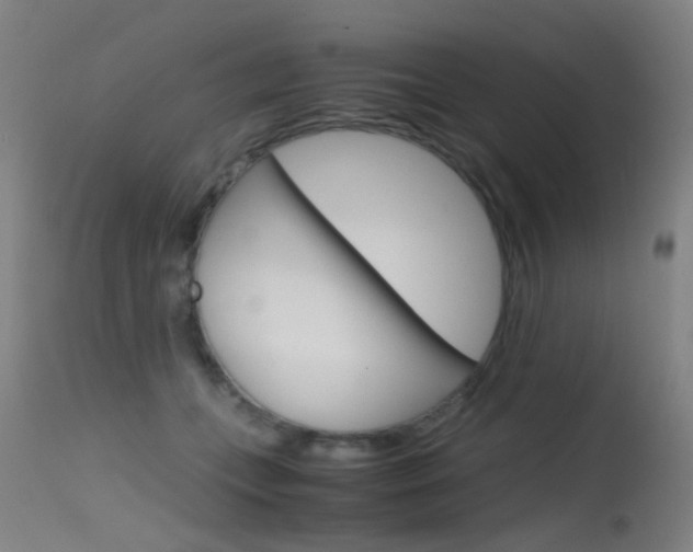 X0000115620559200911101058