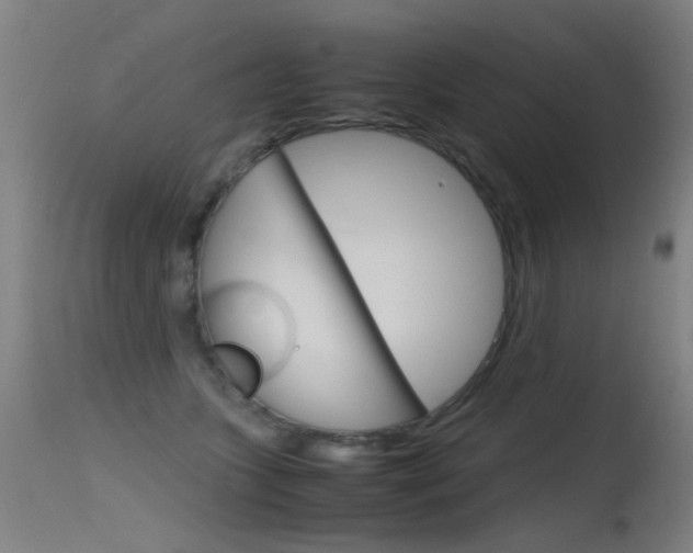 X0000115620563200911101058