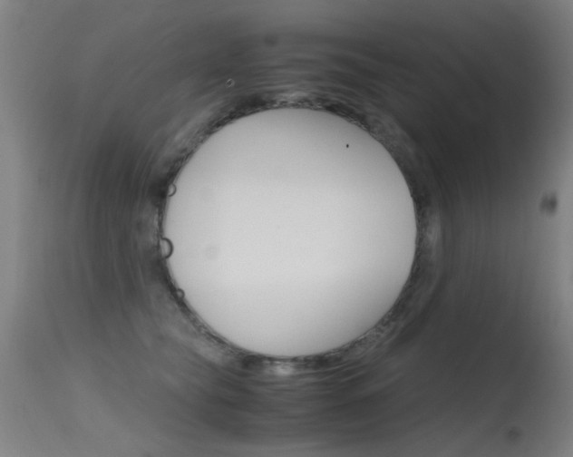 X0000115620565200911101059